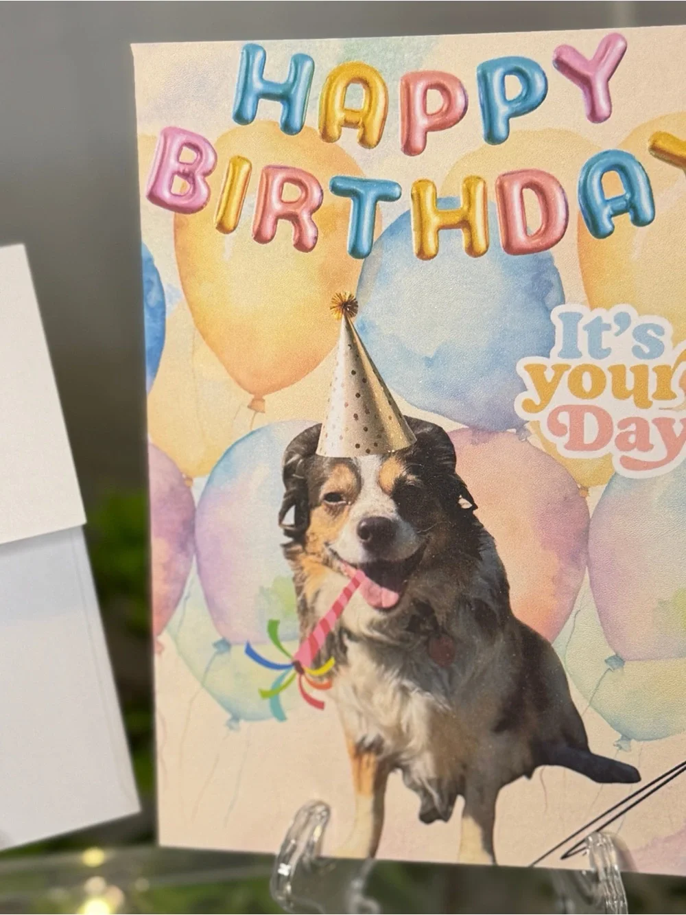 Birthday Dog Photo Card - Multicolor